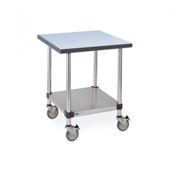 Mobile Gray Phenolic Top Table With Stainless Lower Shelf